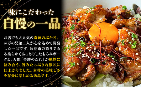 奇跡のぶた丼 4人前 もろみポーク 豚ロース 150g×4袋 奇跡のたれ 270ml×1本 レシピ付き 有限会社味万(万彩工房)《30日以内に出荷予定(土日祝除く)》熊本県 菊池市 豚肉 たれ タレ 調味料 セット 冷凍