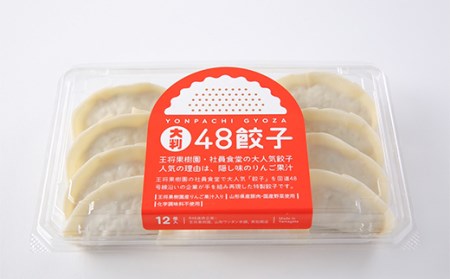 大判48餃子 F2Y-4636