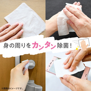 【ふるさと納税】LD-104 リファイン アルコール除菌 ウエットティッシュ(60枚入り×3P)×16セット 合計48パック×3か月