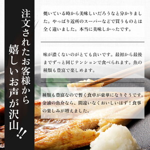 《定期便》12ヶ月連続 干物セット 15品程度(9種類程度)「秋田のうまいものセットC」 魚貝類 加工食品 漬魚 