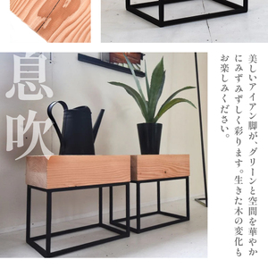 HITTITEの天板が分厚いシリーズ  "The Low 36"  フラワースタンド 2台 テーブル フラワースタンド インテリア 家具 ヒッタイト 063-11