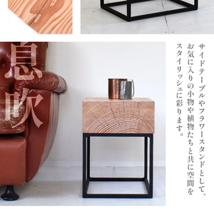 HITTITEの天板が分厚いシリーズ "The Low 36" サイドテーブル ヒッタイト　063-10