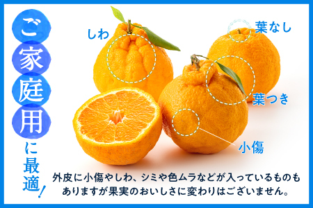 AA132.農家直送の不知火／約3kg（2027年2月発送予定)