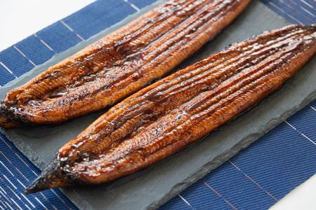 国産 鰻 蒲焼 2尾 計400g以上 うなぎ 鰻 fb-0138