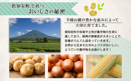 【2026年発送】 北海道 オーガニック 秋の味覚 じゃがいも 玉ねぎ さつまいも 約10kg 札幌黄 キタアカリ 馬鈴薯 ポテト サツマイモ 有機野菜 JAS 産直 産地直送 