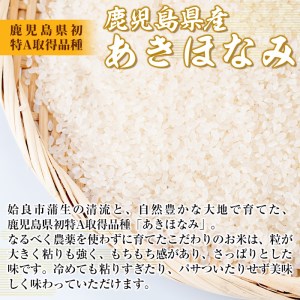 a758 《先行予約受付中！2025年1月以降順次発送予定》＜数量限定！令和6年産新米＞鹿児島県産あきほなみ・蒲生清流米(計6kg・3kg×2袋)【本村農園】