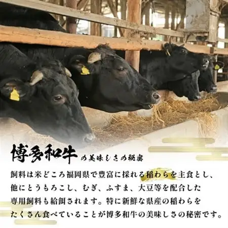 【A4～A5】博多和牛切り落とし  500g_赤身 バラ 肩 国産牛 お肉 牛肉 切り落とし 冷凍 送料無料 黒毛和牛 国産 九州産 福岡県産 牛肉 500g 産直 産地直送 A4 A5_【配送不可地域：離島】【1279585】