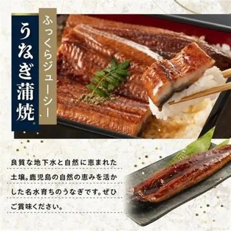 かごしま黒豚しゃぶしゃぶ用2パック・鹿児島県産ウナギ1尾のプチ贅沢セット【配送不可地域：離島】【1185970】
