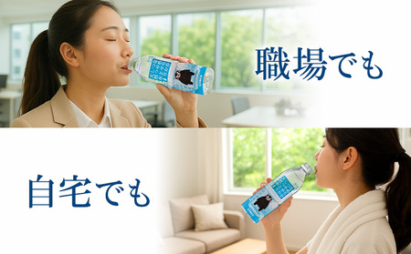 なめらかつややかしっとり天然水 500ml 合計48本 24本×2ケース 株式会社サンコー熊本営業所《30日以内に出荷予定(土日祝除く)》天然水 軟水 鉱水 シリカ水 飲料水 ミネラルウォーター ペットボトル 熊本県 菊池市 送料無料