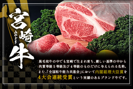 宮崎牛 ウデスライス 500g 肉質等級4等級 国産 人気 おすすめ【B531-2510-90】