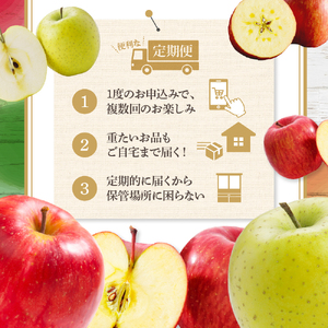 【2026年9月発送開始】 フルーツ定期便【3回】（りんごづくし）りんご　訳ありセット | フルーツ定期便