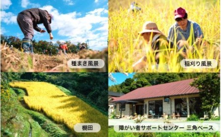 1000年ゆめ農場 びわの葉茶_1925R