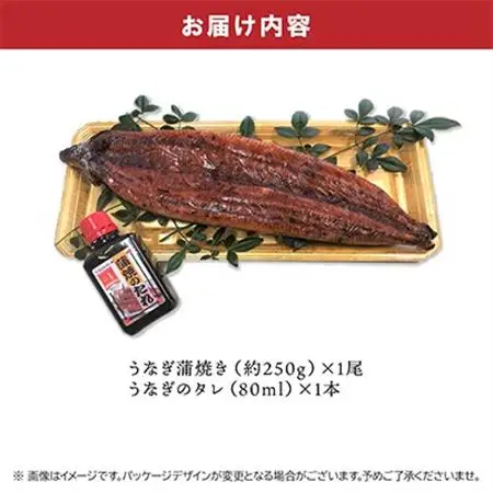鹿児島県産うなぎ蒲焼き250g(タレ付き)【配送不可地域：離島】【1185973】