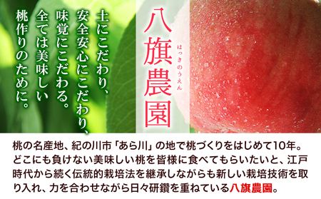 桃 あら川の桃 化粧箱入 約2kg