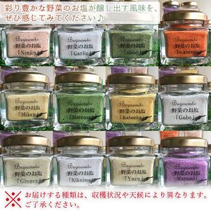 愛媛県産 野菜・柑橘を使ったベジソルト（９種セット） SEI0003