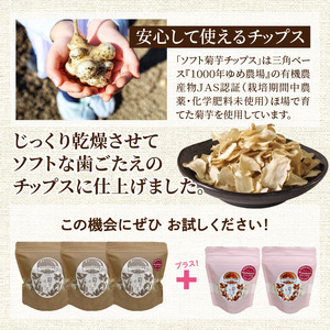 【今だけ増量】そのままでもよし、料理にもよし！ソフト菊芋チップス300g+40g_1935R