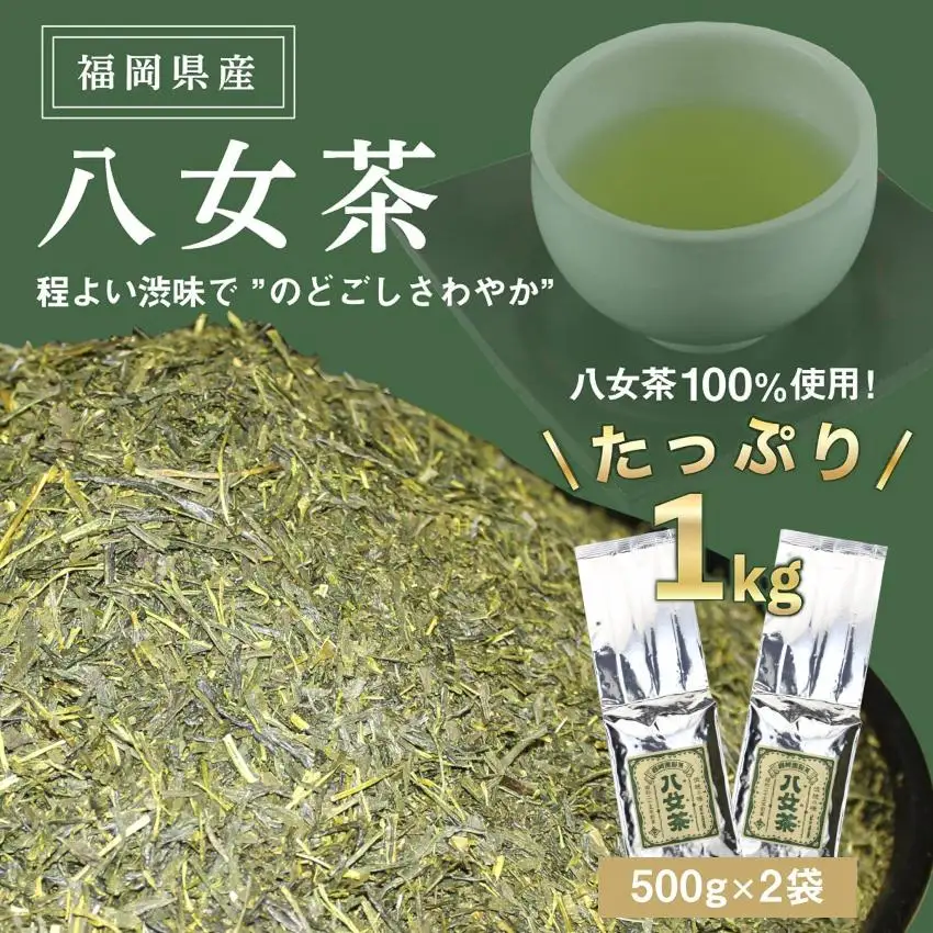 八女茶100％ 家庭用業務用煎茶 たっぷり1kg！お手頃品！＜岩崎園製茶＞ お茶 茶 八女茶 無添加 無着色 業務用 福岡県 八女市 075-003