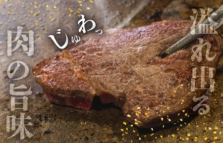 松阪牛 500g ヒレ 焼肉松阪牛 S10