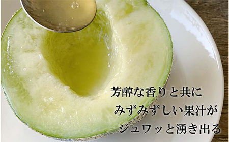 クラウンメロン【並（白等級）】中玉（1.3kg前後）1玉入り 定期便6ヶ月 人気 厳選 ギフト 贈り物 デザート グルメ 果物 袋井市 果物類 メロン青肉 フルーツ 6回 半年