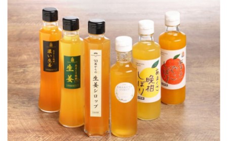 S024-006_天草ジュースのもと　シロップセット