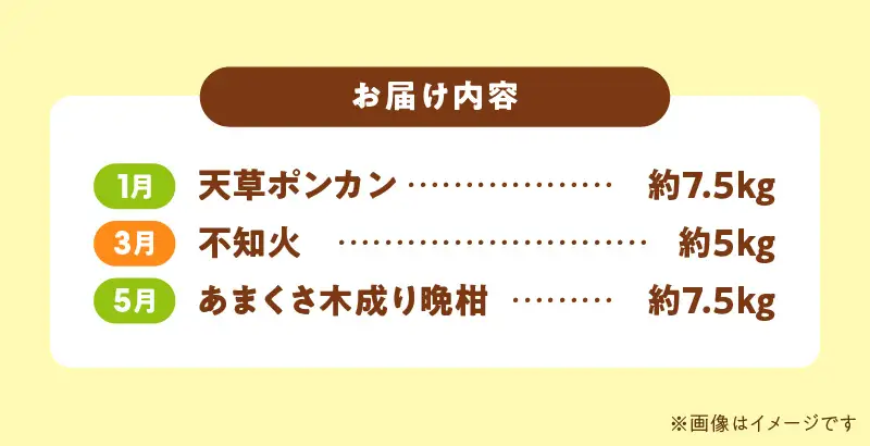S040-T02A_【定期便3回】天草 下浦地区特産の柑橘3種Ａセット(訳あり)【先行受付】