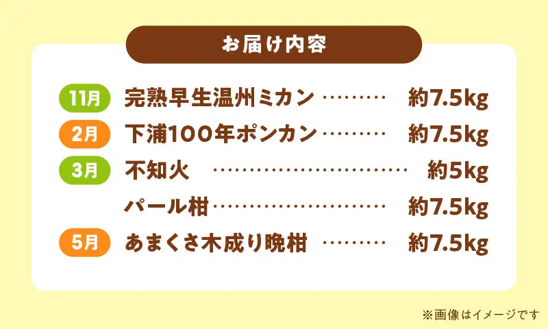 S040-T04A_【定期便5回】天草 下浦地区特産の柑橘5種満喫セット(訳あり）【先行受付】