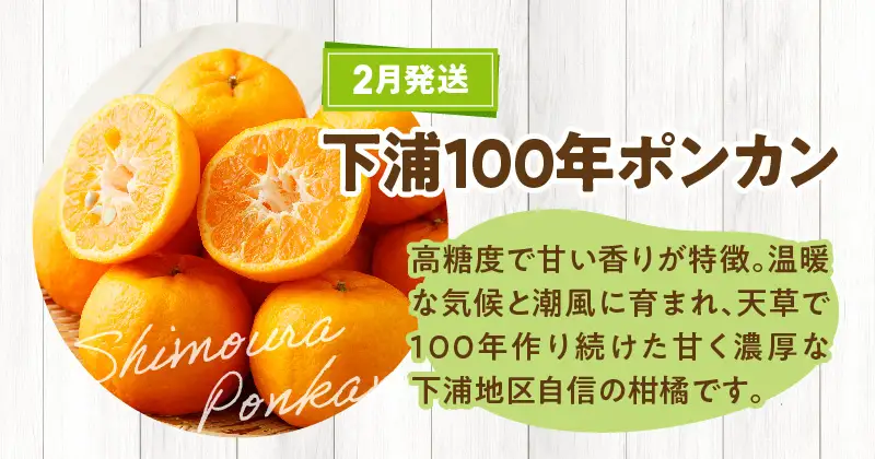 S040-T05A_【定期便2回】　天草　下浦特産の柑橘2種Ａセット（訳あり）【先行受付】