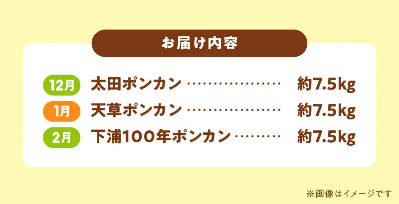 S040-T07A_【定期便3回】天草 下浦特産ポンカン3種Cセット（訳あり）【先行受付】