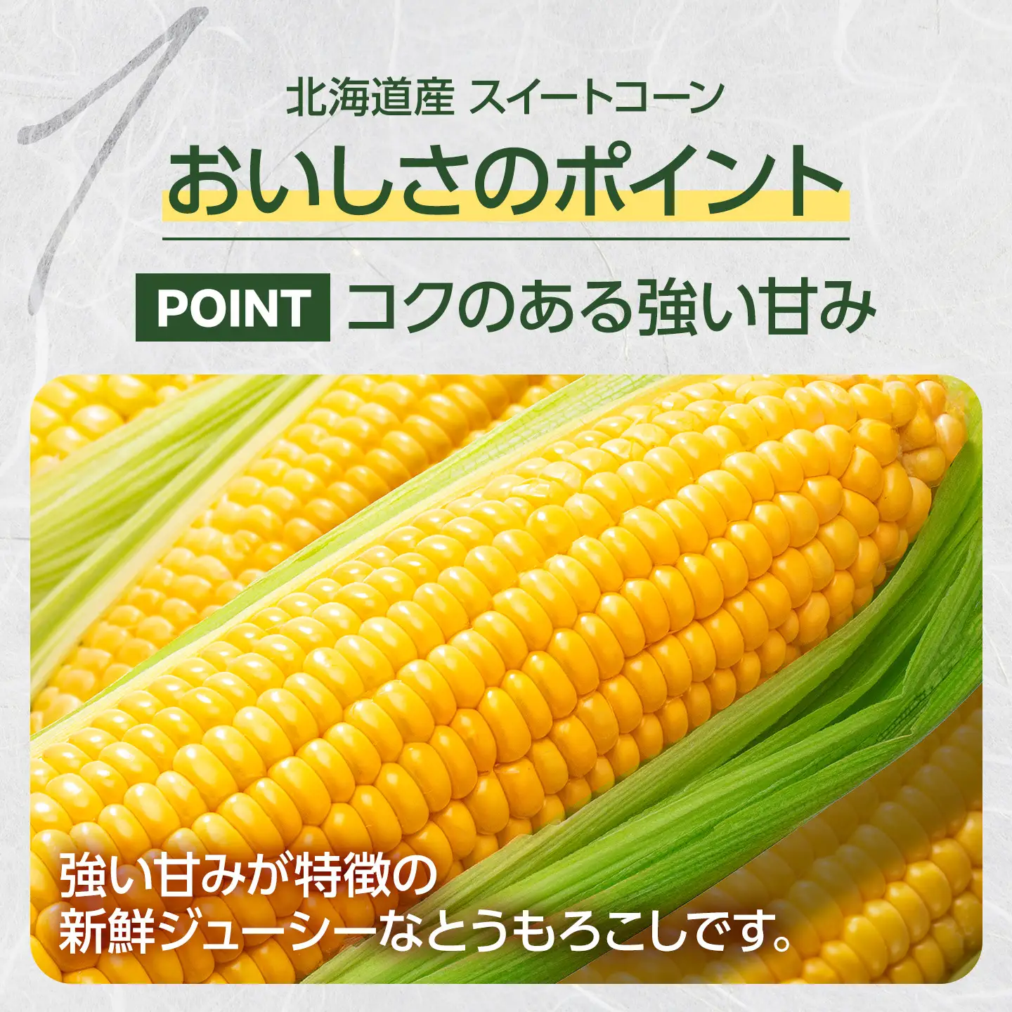 【2026年発送】【先行予約】【数量限定】北海道産スイートコーン　１０本入　 ｜ コーン
