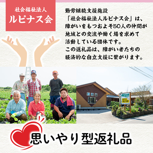 【10925】＜思いやり型返礼品＞ふるさとの味わい甘酒(2種・430g×5パック)【ルピナス会】