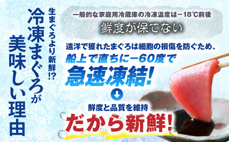 【入金確認後、7営業日以内に発送予定 または 配送月が選べる】【 神奈川県漁連 】 ＜ 小分けパック で 使いやすい ＞ 天然 三崎 まぐろ 漬け 10P ＆ タタキ 10P M077-001 冷凍 マグロ