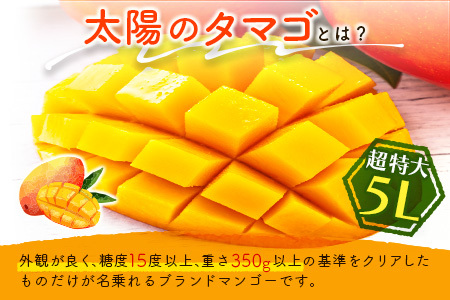 数量限定 宮崎県産 完熟マンゴー＜太陽のタマゴ＞5L×1玉（650g以上）※2026年4月下旬配送開始 化粧箱入 フルーツ くだもの【D114-26】