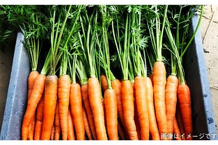 【 全3回 定期便 】朝採り オーガニック 旬 野菜 お任せ 5品 ＋ 糸島産 大ヒット 特産 加工品 2品 のセット《糸島》【オーガニックナガミツファーム】	[AGE029]