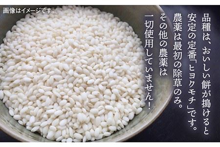 福吉産・ 山つき の もち米 1kg  《糸島》【二丈赤米産直センター】 [ABB027] 糯米 餅 おこわ
