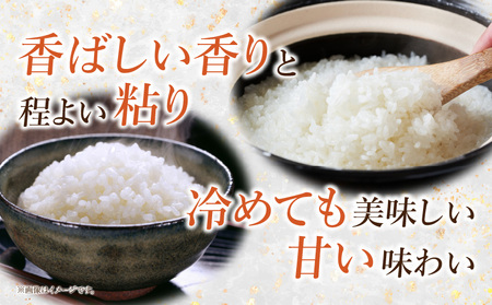 【令和7年産】特別栽培米西尾産コシヒカリ《ぬくもり》【5kg/袋×1袋】・D024-18