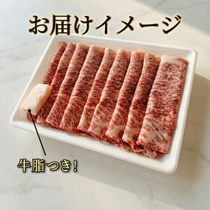 新発田牛ロース 500g すき焼き しゃぶしゃぶ用 500g 牛ロース 牛ロース 牛ロース 牛ロース 牛ロース 牛ロース H12_01