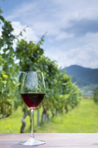  赤ワイン 飲み比べ 穂坂マスカット・ベーリーＡ シングル・ヴィンヤード 2種 750ml 2本 合計1500ml アルコール度 12%  [シャトー・メルシャン勝沼ワイナリー 山梨県 韮崎市 20743131]