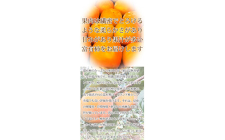 【ご家庭用わけあり】和歌山秋の味覚　富有柿　約3.5kg【uot741】