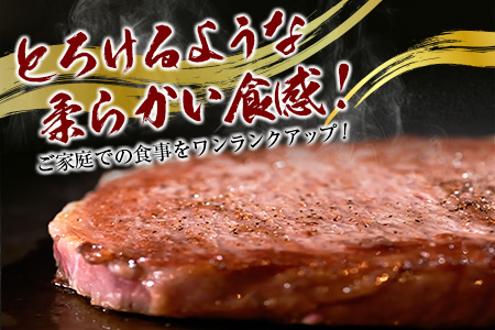 齋藤牛サーロインステーキ（200g×3枚）計600g【E172】