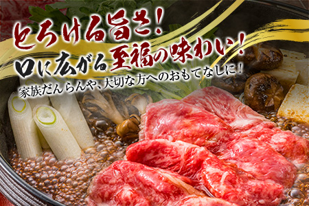 宮崎和牛『齋藤牛』赤身スライス 計500g【C362】