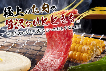 宮崎和牛『齋藤牛』特選肩ロース焼肉 500g【C363】