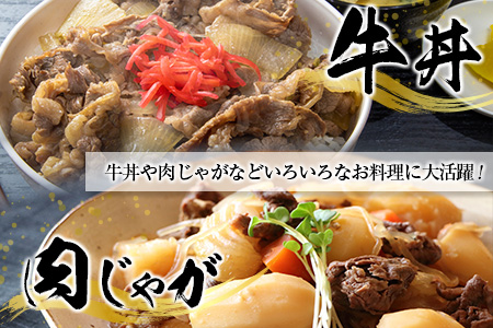 齋藤牛 切り落とし肉（400g×2P）計800g【B548】