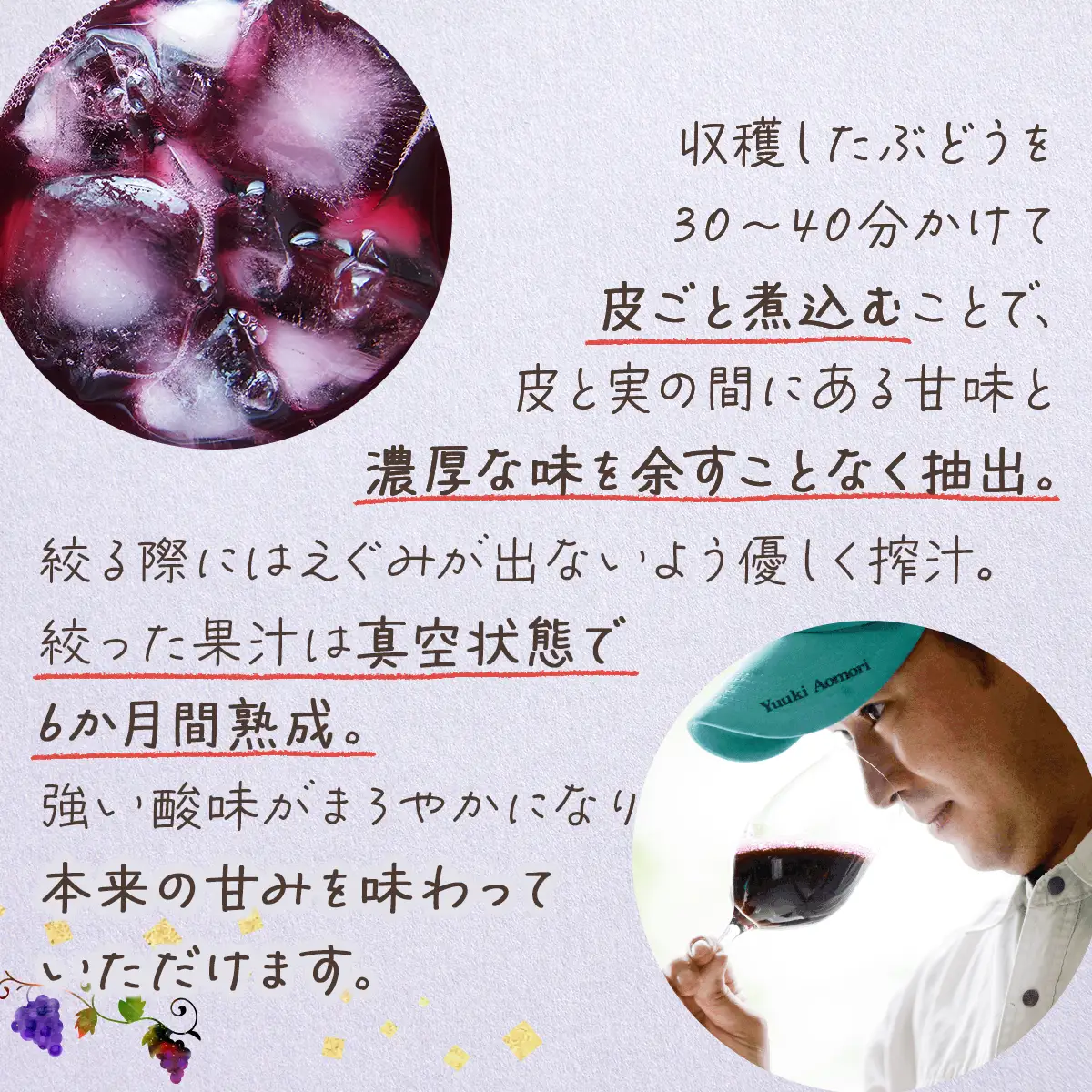 七戸町産 山ぶどうジュース（720ml×2本）【完熟 葡萄 ブドウ ジュース セット 果物 フルーツ 飲料 果汁 100% 無添加 常温 青森県 贈り物 贈答 ギフト プレゼント 美容 健康】【02402-0010】