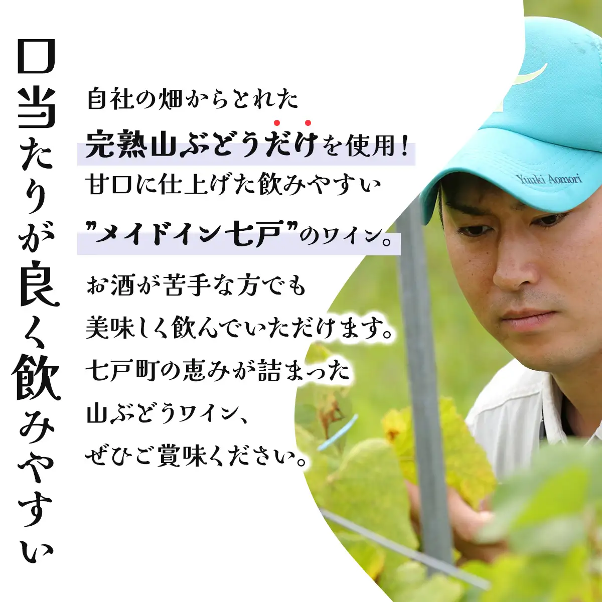七戸山ぶどうワイン　720ml×１本　【完熟 葡萄 ブドウ 山ぶどう ワイン 甘口ワイン 無添加  青森県 贈り物 贈答 ギフト プレゼント 美容 健康 生活習慣病予防 骨粗しょう症予防 貧血予防 【02402-0153】