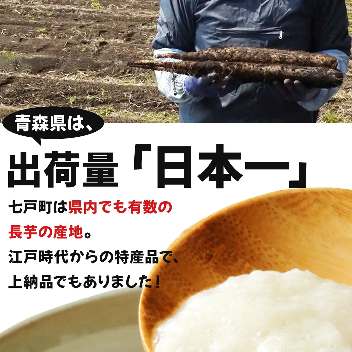 七戸産 長芋 10kg 【長芋 山芋 ながいも とろろ 白米 ご飯のお供 粘り ヘルシー あっさり 新鮮 野菜 青森県 七戸町 常温 贈り物 ギフト】【02402-0055】