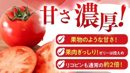 訳あり スーパーフルーツトマト 大箱 約2.6kg × 1箱 (20～35玉/1箱)   [BC038sa]