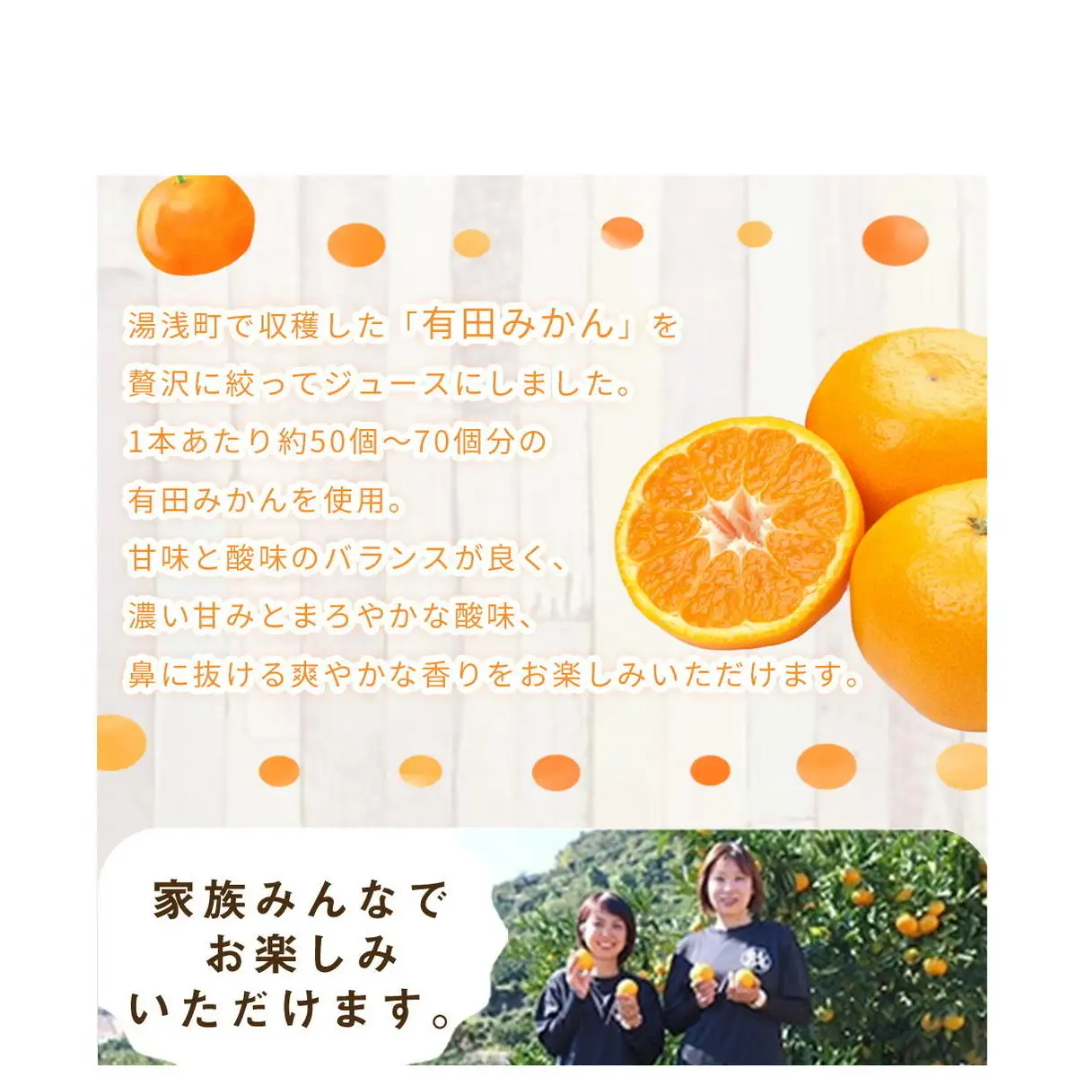 ZE6368n_「まごころ」有田みかん 100％ ジュース 1000ml 2本