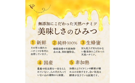 レンゲハチミツ 500g×2【B9-008】