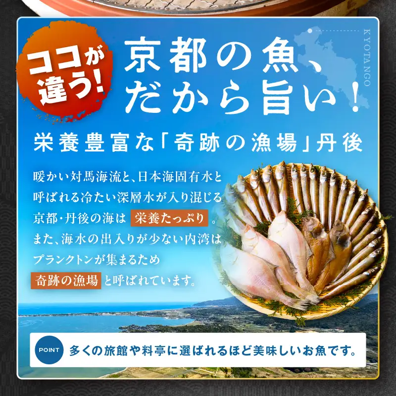 【定期便・隔月5回】京丹後の地元魚屋が作ったお任せ干物セット（冷凍）