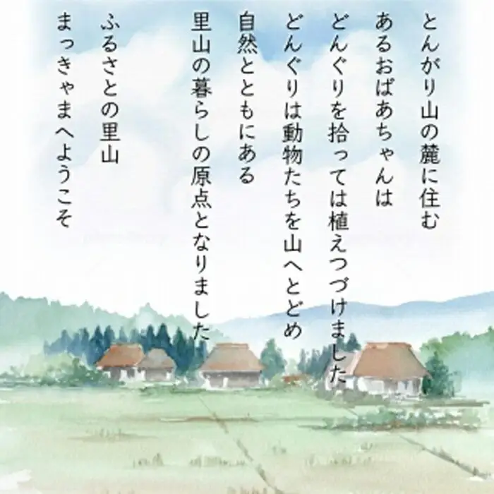 （毎月／全5回）【玄米】定期便　特別栽培米 石川県産こしひかり棚田米”まっきゃま米”